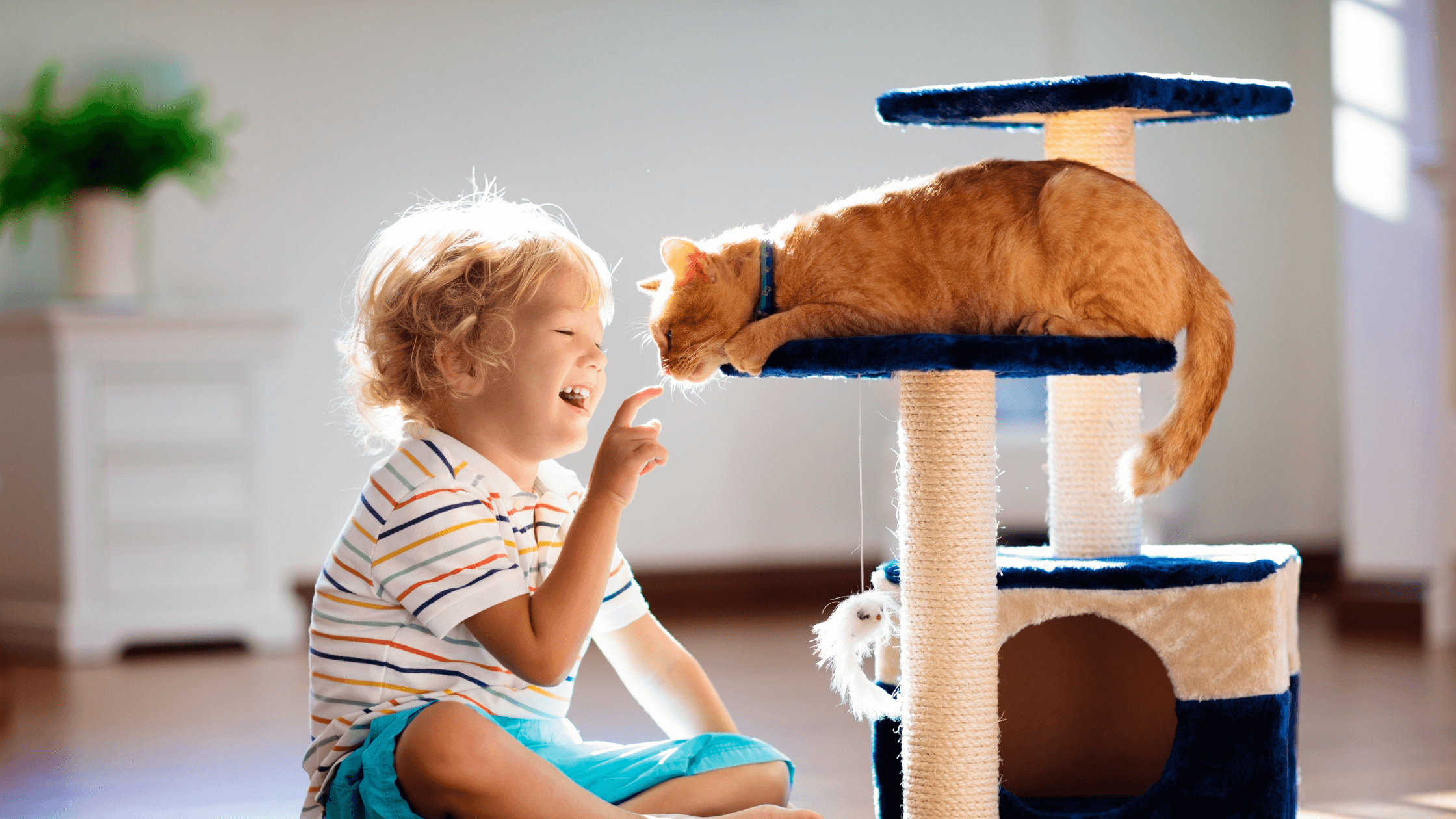 Cleaner Family Homes in Indianapolis