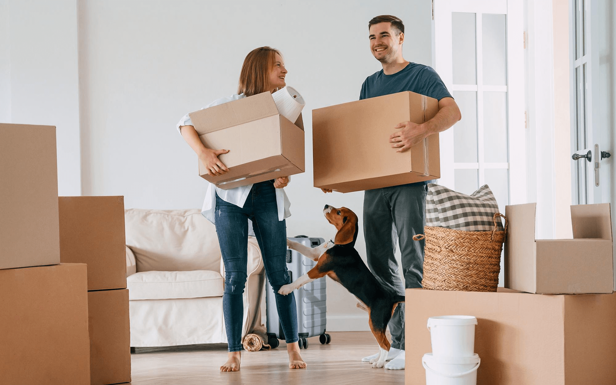 Move in / Move out